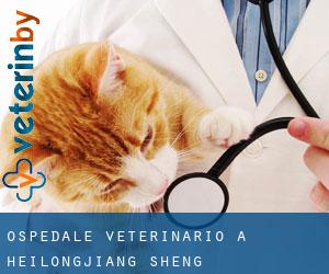 Ospedale Veterinario a Heilongjiang Sheng