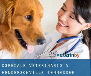 Ospedale Veterinario a Hendersonville (Tennessee)