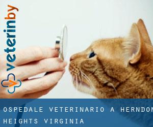 Ospedale Veterinario a Herndon Heights (Virginia)