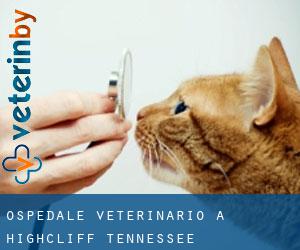 Ospedale Veterinario a Highcliff (Tennessee)