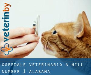 Ospedale Veterinario a Hill Number 1 (Alabama)