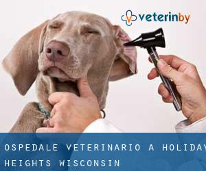 Ospedale Veterinario a Holiday Heights (Wisconsin)