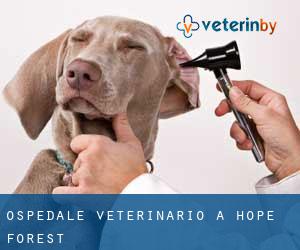 Ospedale Veterinario a Hope Forest