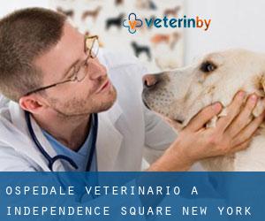 Ospedale Veterinario a Independence Square (New York)