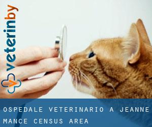 Ospedale Veterinario a Jeanne-Mance (census area) Ospedale Veterinario a Jeanne-Mance (census area)