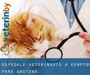 Ospedale Veterinario a Kempton Park (Gauteng)