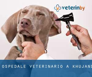 Ospedale Veterinario a Khujand