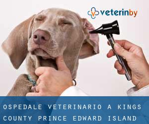 Ospedale Veterinario a Kings County (Prince Edward Island)