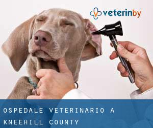 Ospedale Veterinario a Kneehill County