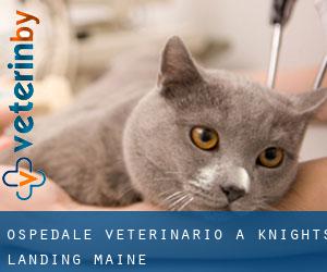 Ospedale Veterinario a Knights Landing (Maine)