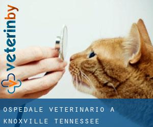 Ospedale Veterinario a Knoxville (Tennessee)