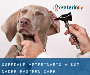 Ospedale Veterinario a Kom Nader (Eastern Cape)