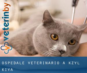 Ospedale Veterinario a Kzyl-Kiya