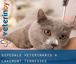 Ospedale Veterinario a Lakemont (Tennessee)