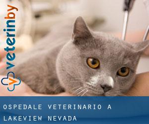 Ospedale Veterinario a Lakeview (Nevada)