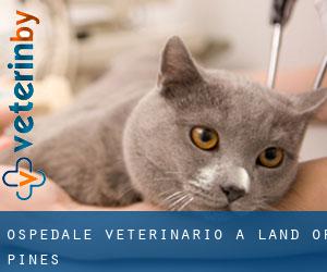 Ospedale Veterinario a Land of Pines