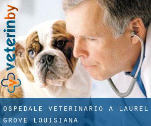 Ospedale Veterinario a Laurel Grove (Louisiana)