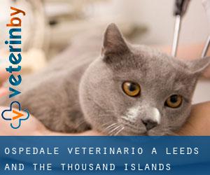 Ospedale Veterinario a Leeds and the Thousand Islands