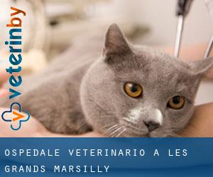 Ospedale Veterinario a Les Grands Marsilly