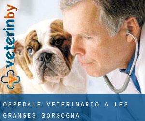Ospedale Veterinario a Les Granges (Borgogna)