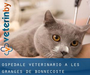 Ospedale Veterinario a Les Granges-de-Bonnecoste