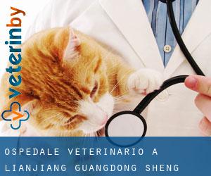 Ospedale Veterinario a Lianjiang (Guangdong Sheng)