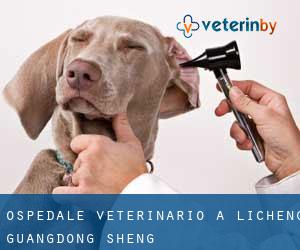 Ospedale Veterinario a Licheng (Guangdong Sheng)