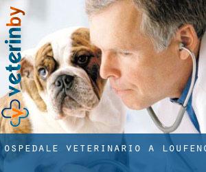 Ospedale Veterinario a Loufeng