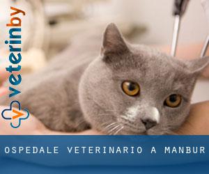 Ospedale Veterinario a Manbur Ospedale Veterinario a Manbur