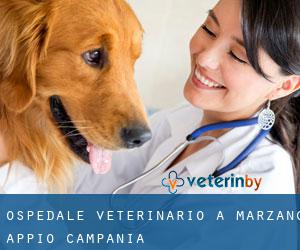 Ospedale Veterinario a Marzano Appio (Campania)