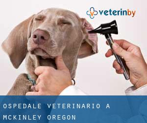 Ospedale Veterinario a McKinley (Oregon)