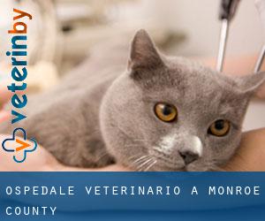 Ospedale Veterinario a Monroe County Ospedale Veterinario a Monroe County