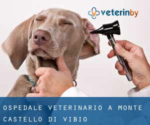 Ospedale Veterinario a Monte Castello di Vibio