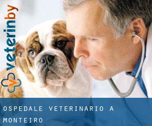 Ospedale Veterinario a Monteiro