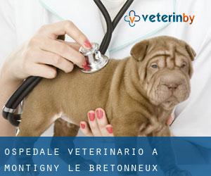 Ospedale Veterinario a Montigny-le-Bretonneux