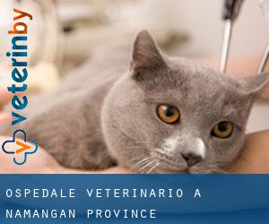 Ospedale Veterinario a Namangan Province