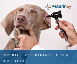 Ospedale Veterinario a New Hope (Texas)
