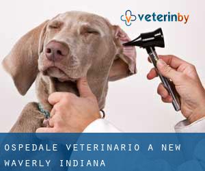 Ospedale Veterinario a New Waverly (Indiana)