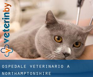 Ospedale Veterinario a Northamptonshire Ospedale Veterinario a Northamptonshire