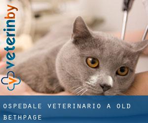Ospedale Veterinario a Old Bethpage