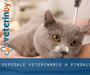Ospedale Veterinario a Pindall
