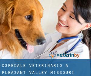 Ospedale Veterinario a Pleasant Valley (Missouri)