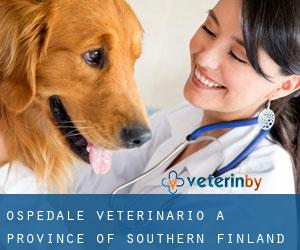 Ospedale Veterinario a Province of Southern Finland