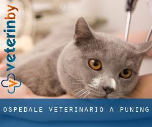 Ospedale Veterinario a Puning