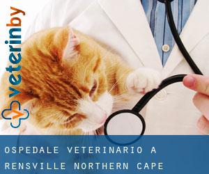 Ospedale Veterinario a Rensville (Northern Cape)