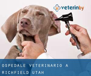 Ospedale Veterinario a Richfield (Utah)