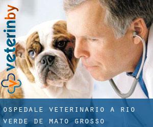 Ospedale Veterinario a Rio Verde de Mato Grosso