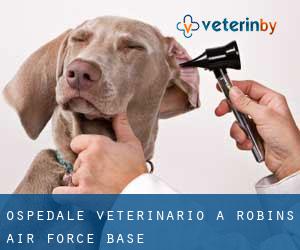 Ospedale Veterinario a Robins Air Force Base
