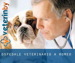 Ospedale Veterinario a Romeo