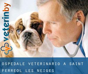 Ospedale Veterinario a Saint-Ferreol-les-Neiges